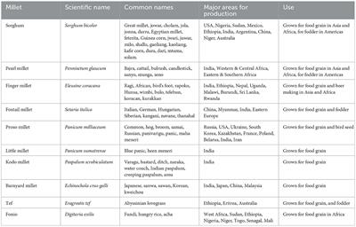 Cultivating health: millets' potential in combating non-communicable diseases and future research avenues in India